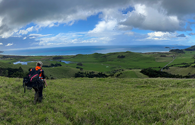 A person walks through long grass on a hill side.