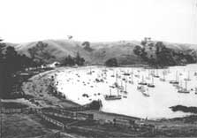 Boats in Home Bay in the 1900s, Motutapu Island. Photo: copyright DOC.
