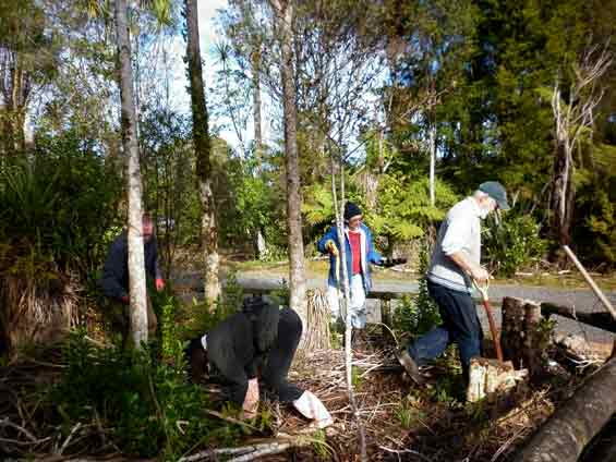 Puketi Forest Trust volunteers planting natives around the  Puketi Forest hut and campground. 