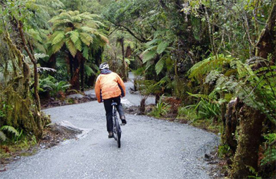 Cyclist on Te Ara a Waiau Walkway/Cycleway. Photo: Brian Dobbie ©.  