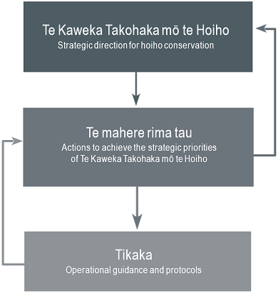 hoiho-diagram-390.png