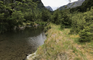 Pool in Rock Burn Mt Aspiring National Park