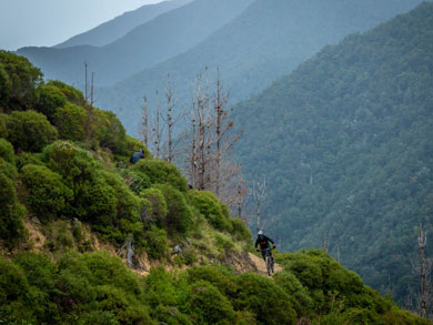 wairoa-gorge-mtb-390.jpg