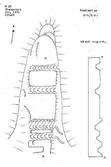Sketch map of the pā from the 1974 site record form Q05/504. Click image to view larger (JPG, 55K).