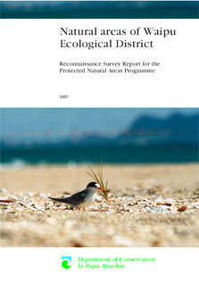 Front cover of the report showing a fairy tern next to pingao at Waipu. Photo: K Hansen.