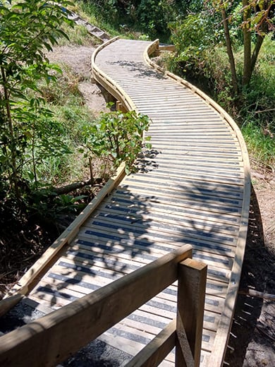 New wooden raised paths.