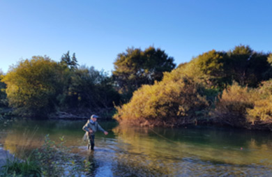 Fly fishing in the river