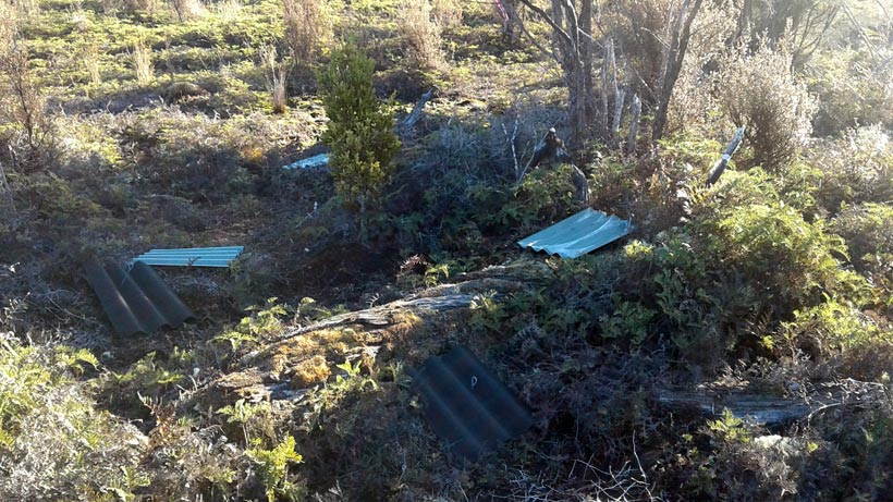 Alborn skink habitat with monitoring devices. 