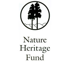 NHF logo.