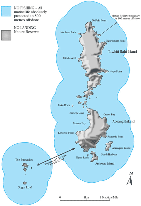Map showing the boundaries of Poor Knights Islands Marine Reserve.