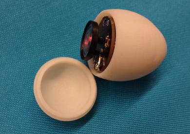 smart-egg-scockburn-390.jpg