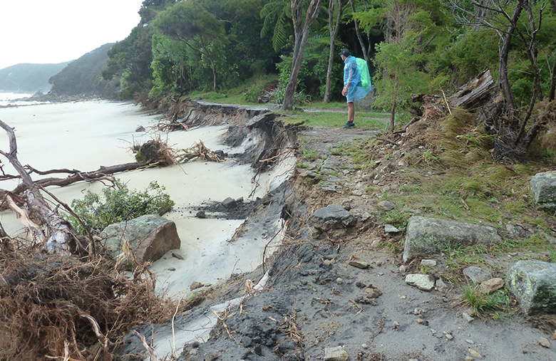 cyclone-fehi-damage-abel-tasman-820.jpg