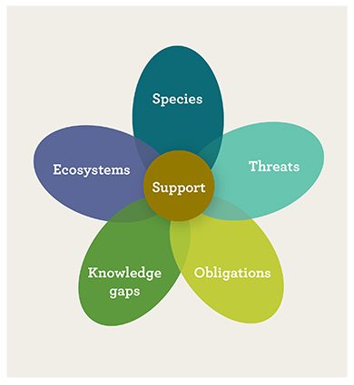Petel shaped diagram listing each of the BioInvest programme groups: ecosystems, species, threats, obligations, knowledge gaps and support.