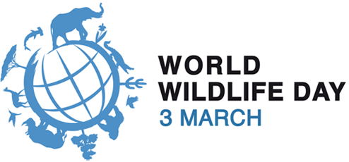 world wildlife day logo