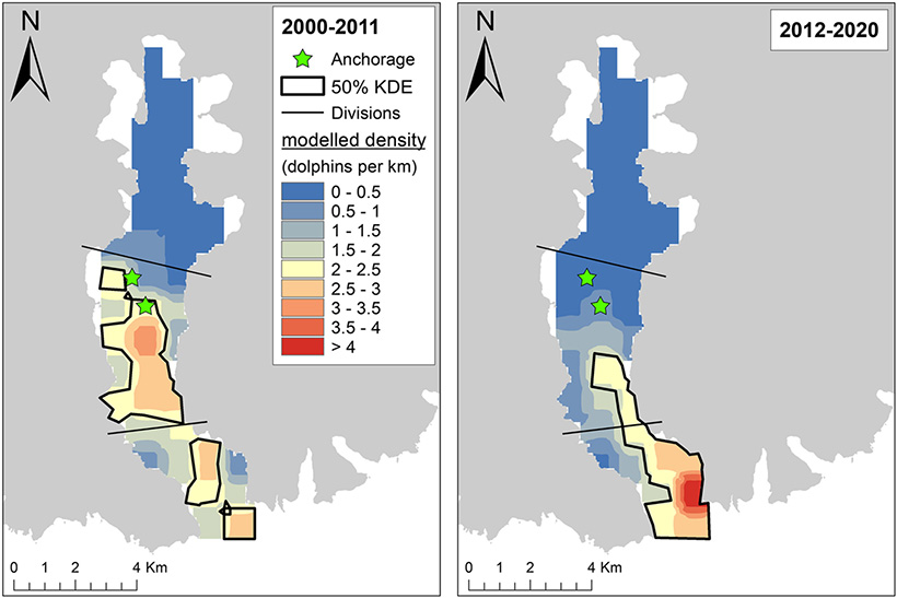 Two maps showing dolphin density in the Akaroa Harbour. The left image, showing the years 2000-2011, has higher density in the inner harbour, while the right image, showing the years 2012-2020 has lower density.
