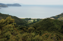 View from Matamataharakeke track.