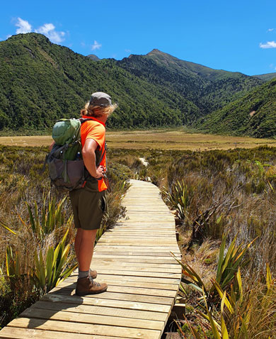 Tramper on boardwalk through scrub, looking towards mountains. 