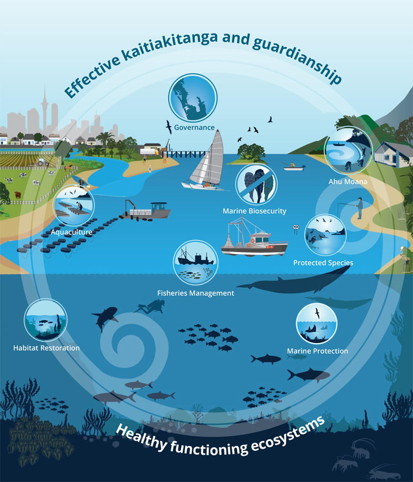 An image depicting the eight action areas to work alongside effective kaitiakitanga and guardianship. These areas include: governance, marine biodiversity, protecting species, aquaculture, fisheries management, habitat restoration, marine protection and mana whenua and communities (ahu moana).