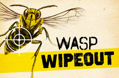 Wasp wipeout logo. 