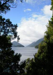 View up Dusky Sound from the lookout at Astronomer’s Point. Photo: R Egerton.