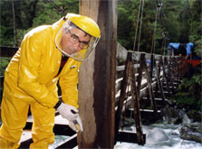 Injecting preservative chemicals into the wooden supports of the Cleddau horse bridge, Fiordland National Park. Photo: Paul Wilson.