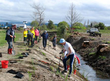 Volunteers undertaking planting at Makoura Stream, Wairarapa. Photo: Sandra Burles.