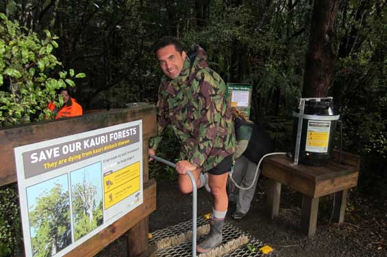 Northland Conservation Board Chair Mita Harris getting his boots cleaned at a cleaning station in Waipoua Forest to prevent the spread of kauri dieback (PTA). 