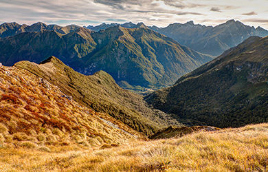 Views of Kepler Track