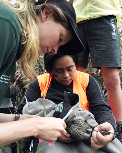 Kiwi Forever student and DOC ranger with kiwi. 