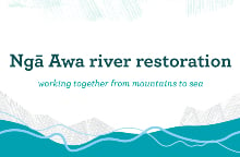 Ngā Awa logo saying Ngā Awa river restoration – working together from mountains to sea