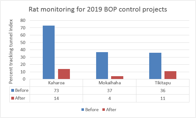 Graph of rat monitoring 2019 Bay of Plenty control projects. 