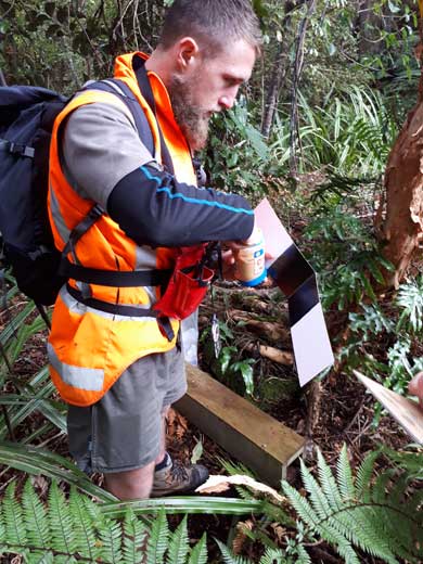 A ranger checking a tracking tunnel card. 