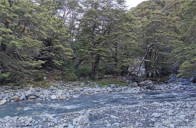 390 float right image.