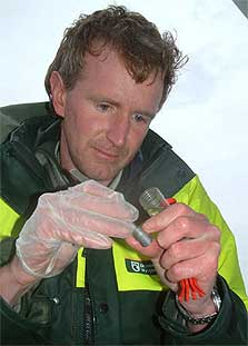 DOC ranger Jim Fyfe checking Southern right whale DNA samples. Photo: Nicola Vallance.