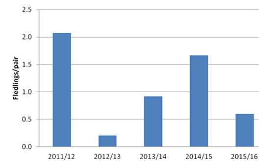 Bar graph showing whio fledgling success.