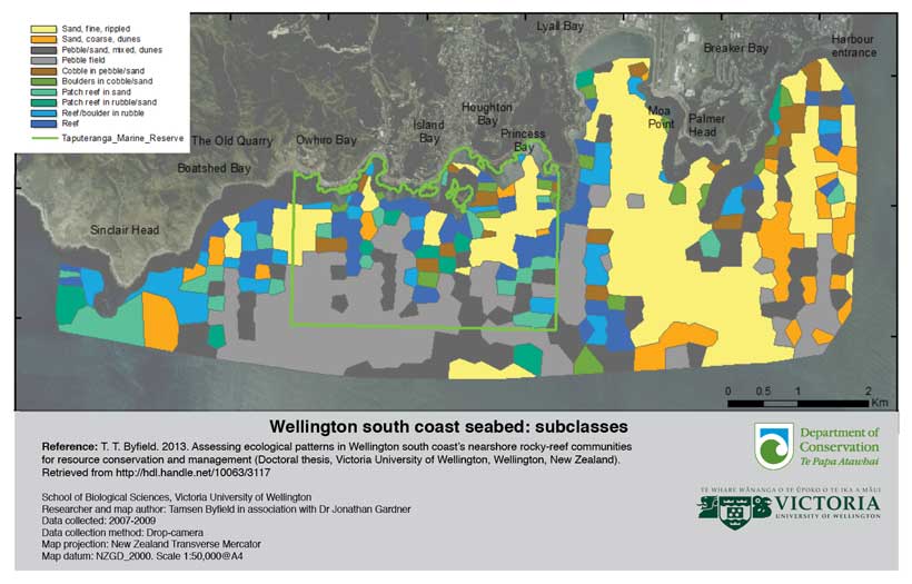 Wellington south coast seabed: subclasses