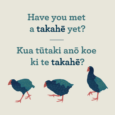 takahe-awareness-social.jpg