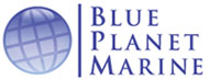 BPM logo. 
