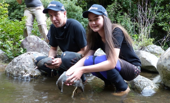 Sarah Ridsdale with her dad and whio rangers releasing whio on the Mangetapopo River in Tongariro National Park.