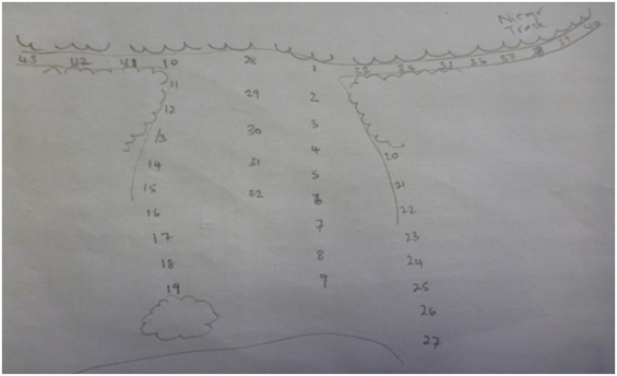 Figure 2. Diagram showing layout of Gee-minnow traps