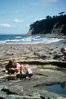 Investigating a rock pool, Long Bay-Okura Marine Reserve.