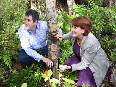 Minister of Conservation Maggie Barry and MP Chris Bishop install the first of 1,200 new stoat traps in the Rimutaka Forest Park. 
