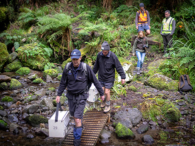 Volunteers carrying boxes