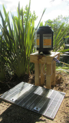 Kauri dieback boot cleaning station. 