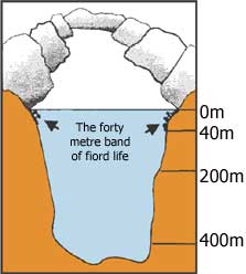 The forty metre band explained in a diagram