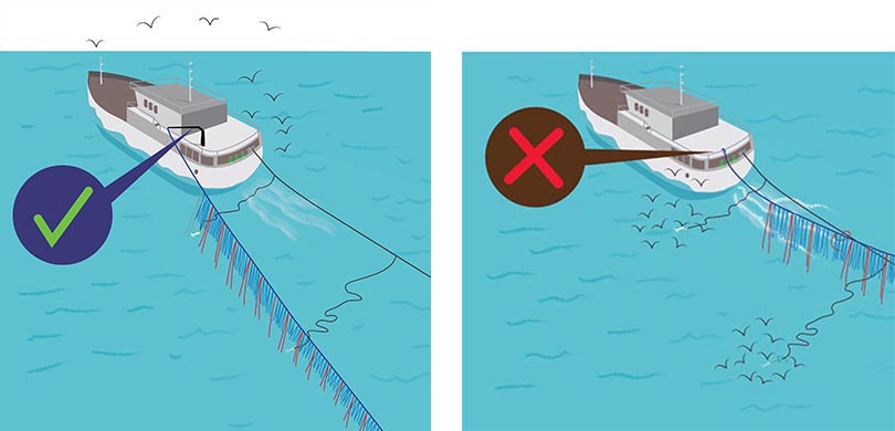 Bird scaring lines (tori line): Seabird-safe practices