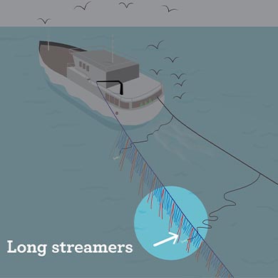 Line Streamer Bird scaring lines (tori line): Seabird-safe practices
