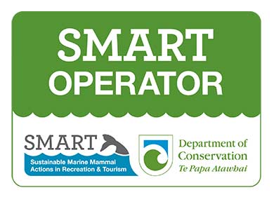 smart-operator-logo-colour-white-backgound-390.jpg