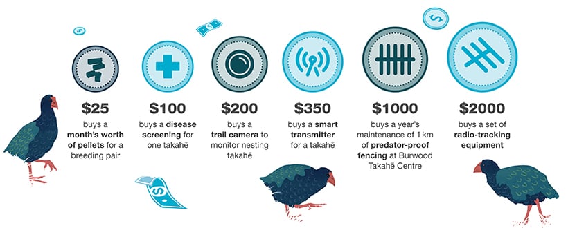 How your donation helps. $25 buys a month's pellets for a breeding pair $100 buys a disease screening for one takahē $200 buys a trail camera to monitor nesting takahē $350 buys a smart transmitter for a takahē $1,000 buys a year's maintenance of 1 km of predator proof fencing at Burwood Takahē Centre $2,000 buys a set of radio-tracking equipment.