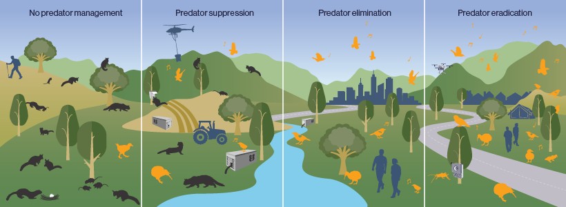 What is Predator Free 2050: Predator Free 2050